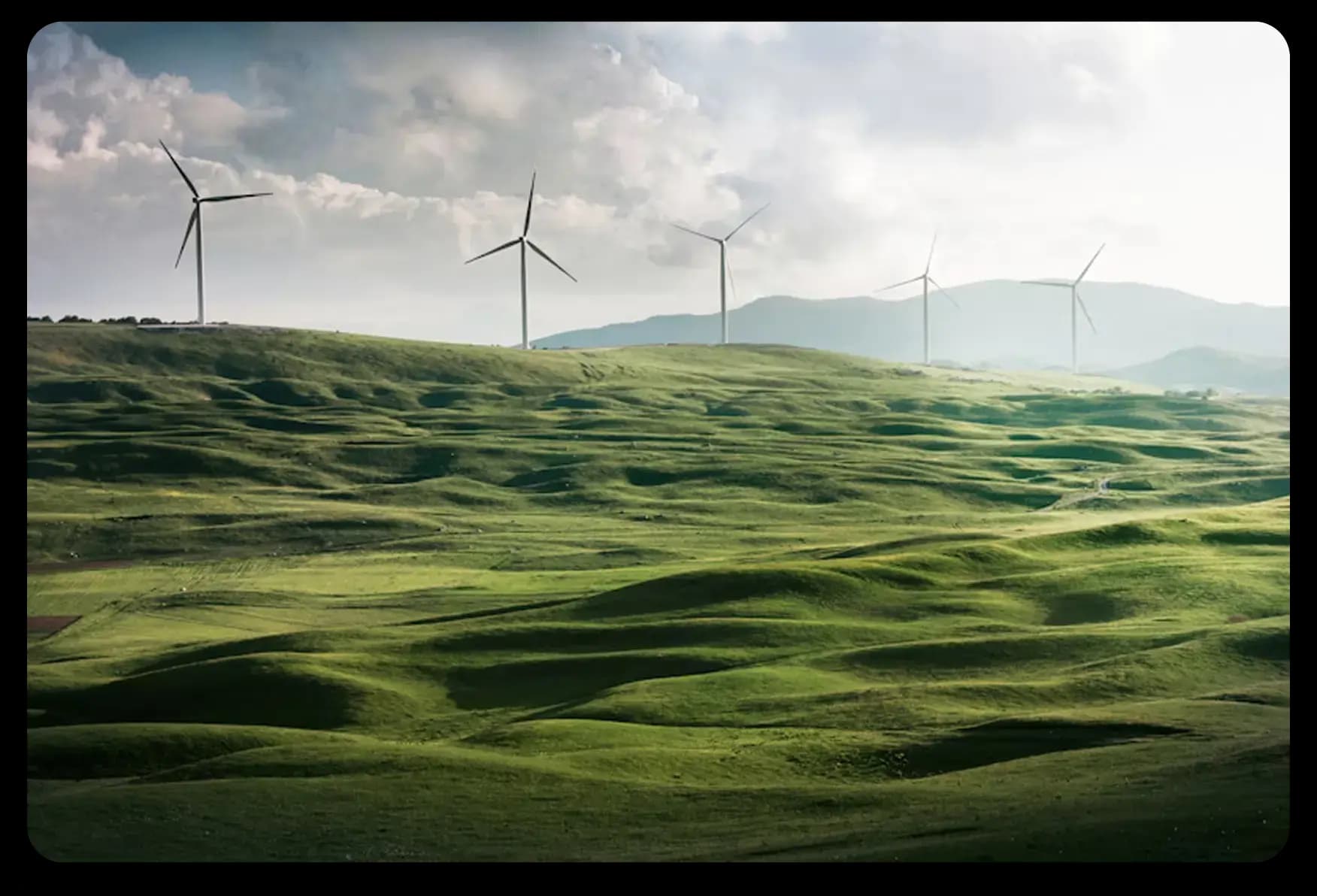 Sustainability Platform Screenshot