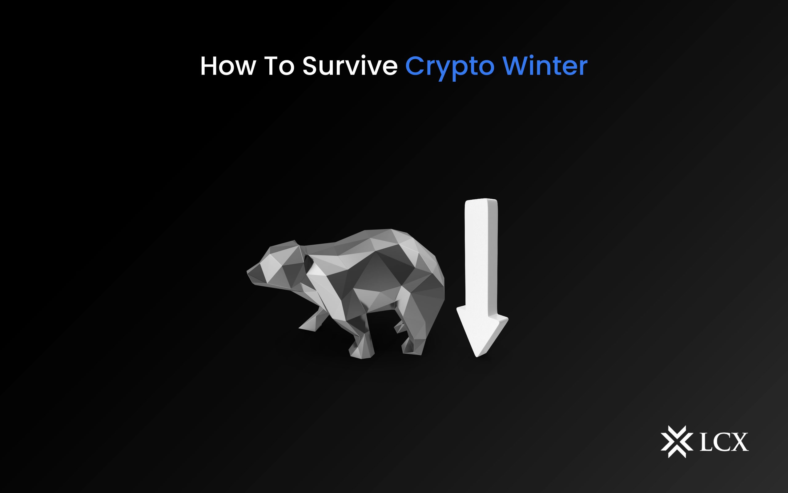 How To Survive Crypto Winter LCX