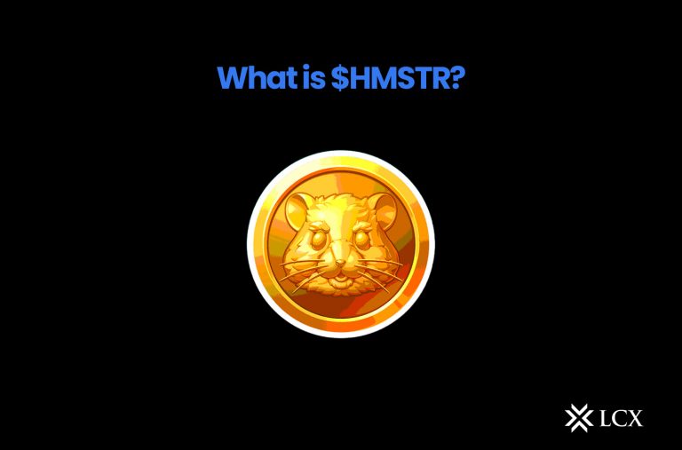 20240927 Blog Image What is $HMSTR_